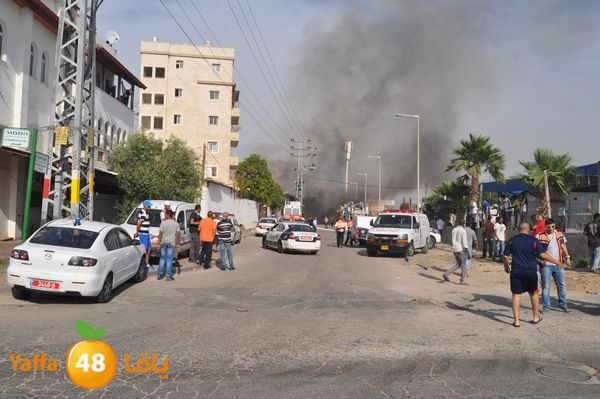 fireludkartoonmasna34 (51).JPG